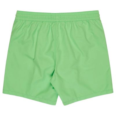 2. Billabong All Day Layback 16" Shorts EBYJV00134-GGJ0 Grün L