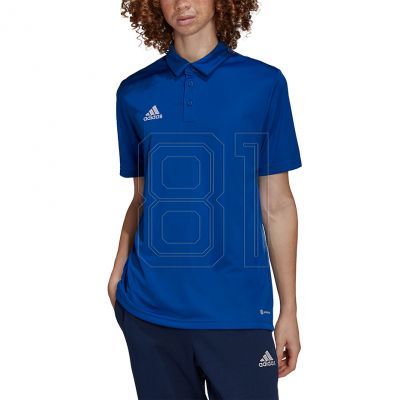 3. Adidas Entrada 22 Poloshirt M HG6285