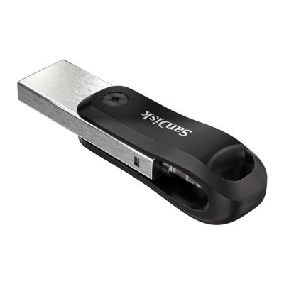 12. SanDisk iXpand GO SDIX60N-256G-GN6NE USB-Stick (256 GB; Lightning, USB 3.0; silber)