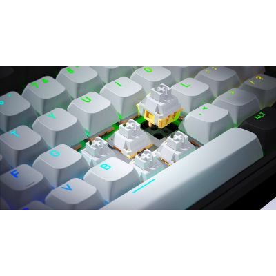 12. HATOR Skyfall Pro Wireless 65 Gaming-Tastatur USB + RF Wireless + Bluetooth QWERTZ US Englisch Schwarz, Grau