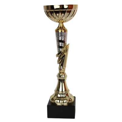 Triumph Cup 1991