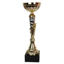 Triumph Cup 1991