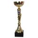 Triumph Cup 1991