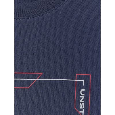 7. Herren Langarmshirt mit Print, regulär, Größe 4F 4FRAW25TLONM606-31S