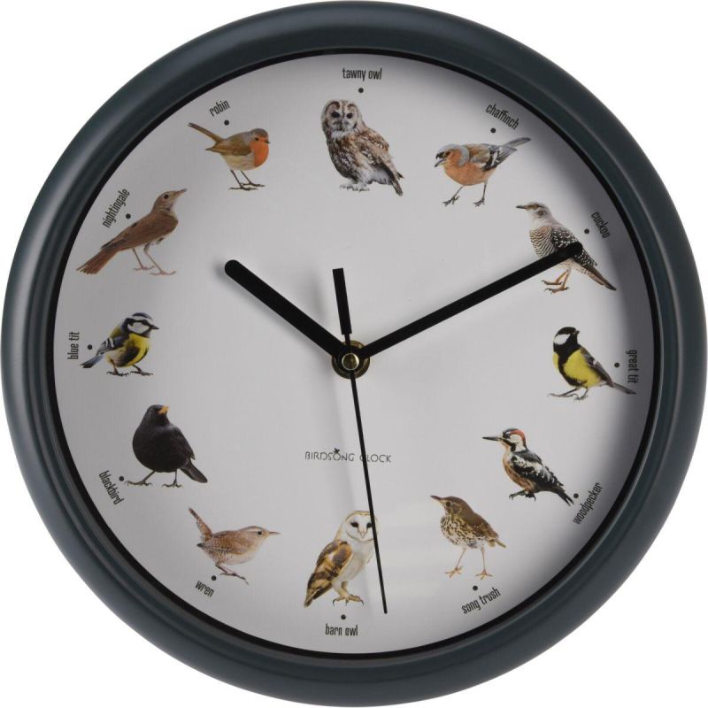 4. Wanduhr für Ornithologen, 25 cm
