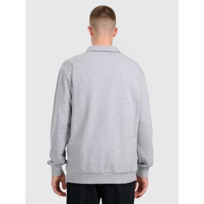 2. Herren-Sweatshirt mit Kragen, Regular Fit 4F 4FRAW25TSWSM2546-27M
