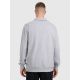 2. Herren-Sweatshirt mit Kragen, Regular Fit 4F 4FRAW25TSWSM2546-27M