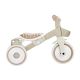12. Dreirad/Laufrad LEARNING TRIKE 2in1 PLUS ECOLOGIC (737-466)