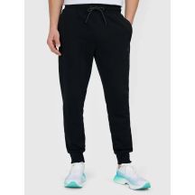 Herren-Jogginghose 4F 4FWMM00TTROM1860-20S