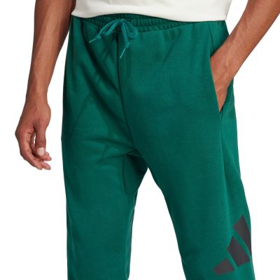 11. adidas Essentials Big Logo French Terry Hose M JE8971