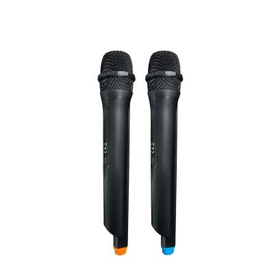6. PartyBox Blaupunkt PB10DB (Bluetooth und Karaoke)
