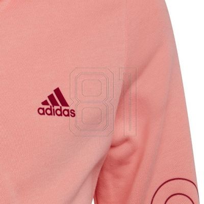 3. adidas Jr HE1968 Sweatshirt