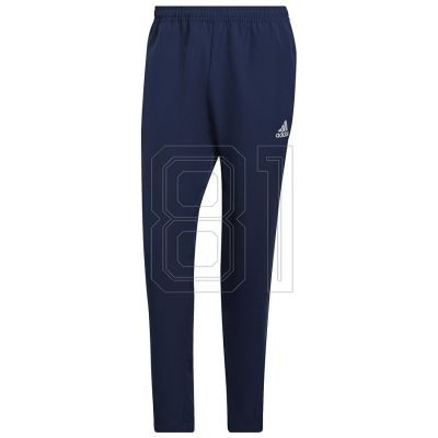 adidas Entrada 22 Pre-Panty M HB5329