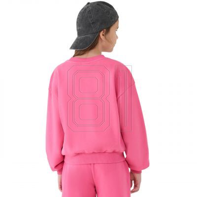 6. Sweatshirt 4F F1479 Jr 4FJWSS25TSWSF1479 54S