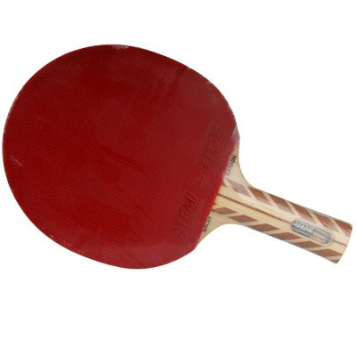 Atemi 5000 Tischtennisschläger