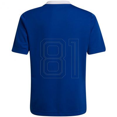 2. Adidas Entrada 22 Jsy Jr T-Shirt HG3948