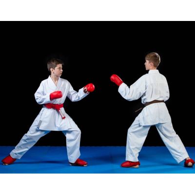 11. WKF Karatehandschuhe - Pratzen | XL