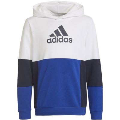 6. Adidas Colourblock Hoodie Jr HG6826 Sweatshirt