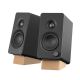 Creative Aktivbox XF-1 2.0 Schwarz