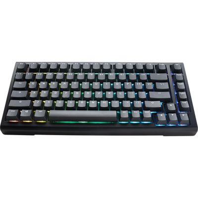 Ducky Tinker 75 Gaming-Tastatur USB US-Englisch Schwarz