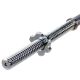 5. Martes Conan II gerader Hals 35cmx28mm 92800408811