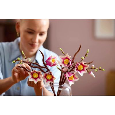 10. LEGO Botanicals 11510 - Magnolienzweige