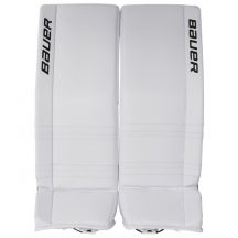 Bauer GSX Int Zäune