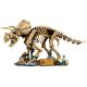 32. LEGO Jurassic World 77985 - Dinosaurierskelette: Triceratops