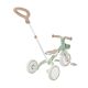 4. Dreirad/Laufrad LEARNING TRIKE 3in1 PLUS ECOLOGIC (738-109)