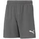 5. Puma teamRise Short Jr 704943 13