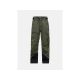 Peak Performance M Alpine Gore-Tex Skihose Grün