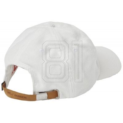 2. Helly Hansen HH Graphic Cap 48146 011