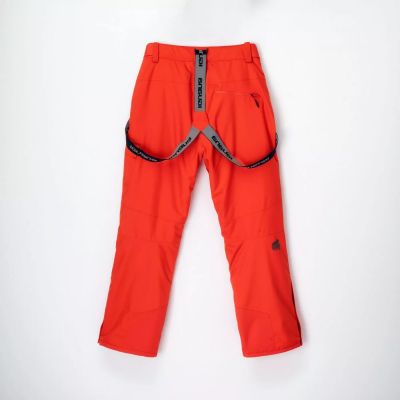 2. Iguana Nala II Skihose M 92800550543