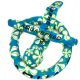 2. Aqua Speed 152 01 Tauchset