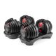 10. Bowflex Select Tech 552I verstellbare Hantel 
