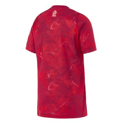 2. Nike Junior Polen Stadium Auswärtstrikot IO8592-676