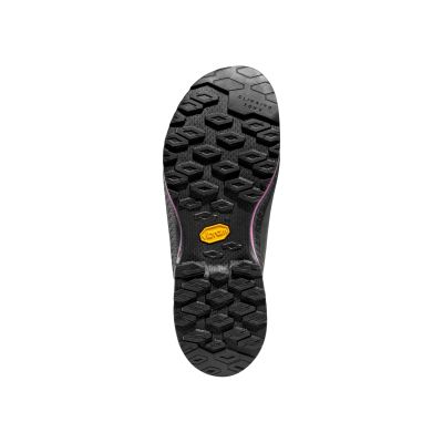 6. La Sportiva TX4 Evo W's GTX Approachschuhe ZFAS053G00P11 Carbon/Springtime