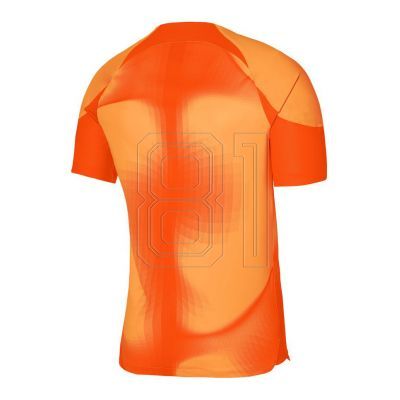 2. Nike Dri-FIT ADV Gardien 4 M DH7760-819 goalkeeper jersey