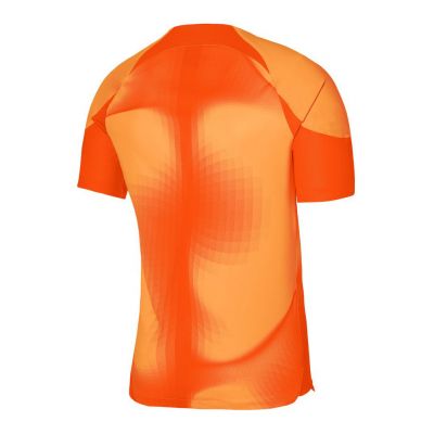 2. Nike Dri-FIT ADV Gardien 4 M Torwarttrikot DH7760-819
