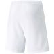 4. Puma teamRISE Shorts M 704942 03