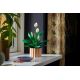 18. LEGO Botanical 11504 Spathiphyllum in einem Topf