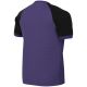 2. Nike Dri-FIT Trophy VI Kinder-T-Shirt Lila HV8158 547
