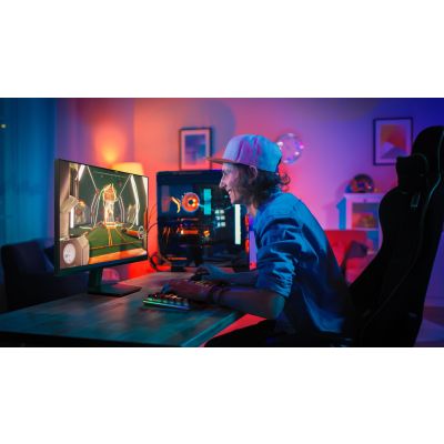 28. Philips Monitor 68,5 cm (27,0") 27M2N3200NF 16:09 HDMI+DP IPS/grau