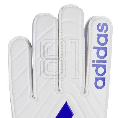 2. adidas Copa GL CL Jr IX3834 Torwarthandschuhe