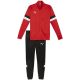 3. Puma Team Rise M Trainingsanzug 658653 01