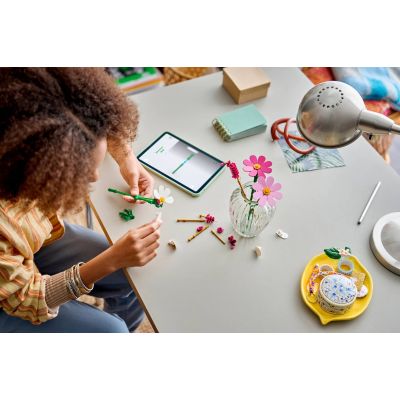 8. LEGO Botanische Kollektion 11514 - Räume