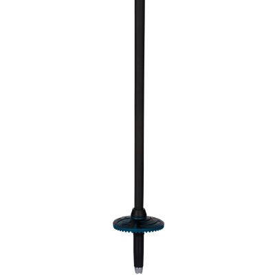 5. ROSSIGNOL Electra Premium Carbon Skistöcke - Schwarz und Blau