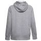 6. Under Armour Rival Fleece Logo Hoodie W 1356318-035 