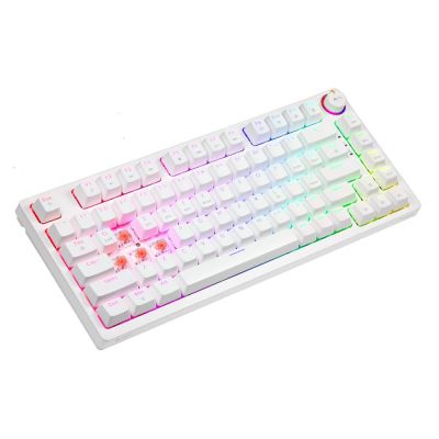7. SAVIO DRAHTLOSES MECHANISCHES TASTATUR PHENIX WEISS GATERON ROT PRO ABS