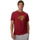 Herren-T-Shirt 4F M3558 Dunkelrot 4FWAW26TTSHM3558 61S